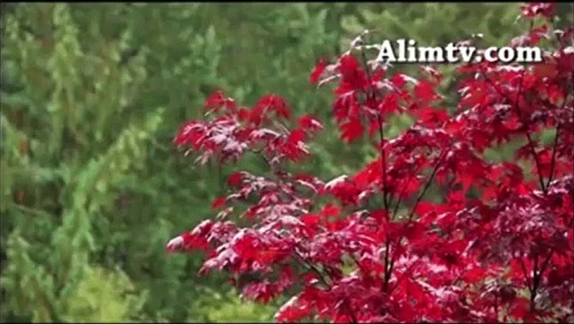 Namazın önemi ve fazileti 1 - M. Zeki Ceylan