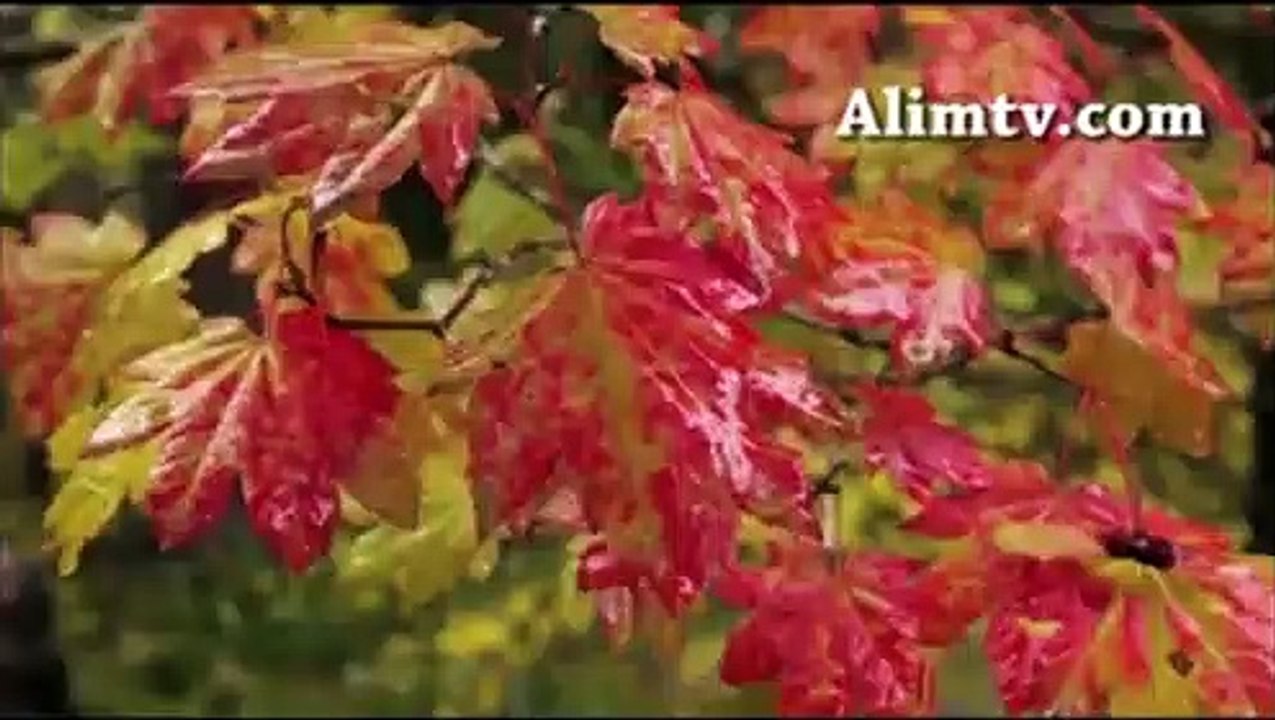 Namazın önemi ve fazileti 3 - M. Zeki Ceylan