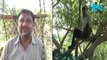 Urban Mowgli- Man creates treehouse to maintain social distancing amid Coronavirus