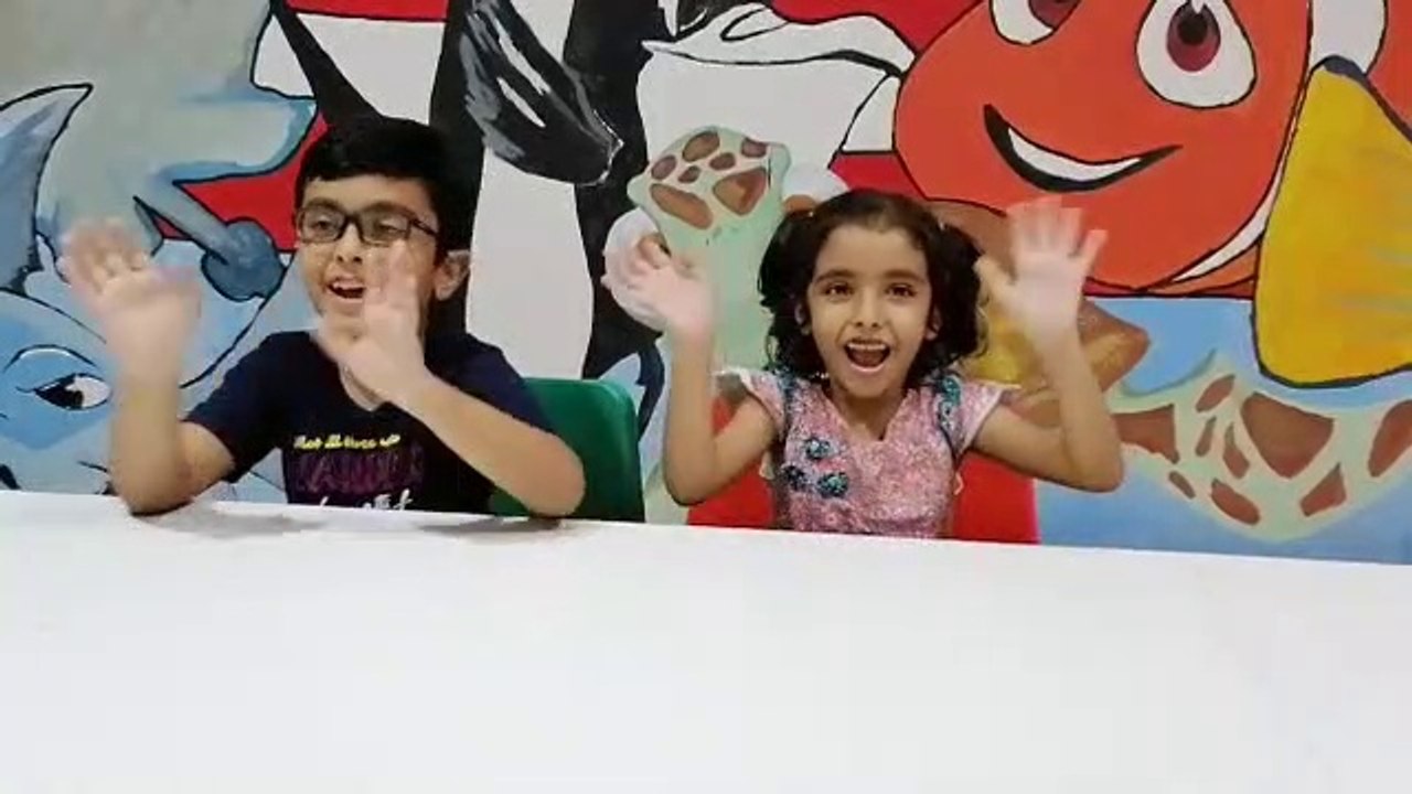 Bunny & Momo - Introductory Video for Friends!