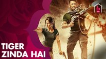 سلمان خان وكاترينا كيف يواجهان الأرهاب الليلة في TIGER ZINDA HAI