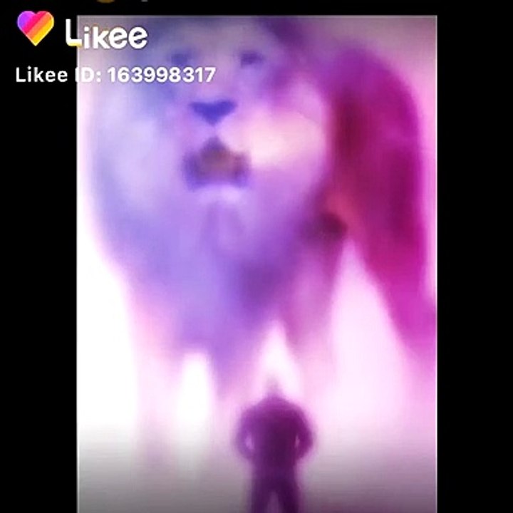 Funny videos tiktok funny videos comedy videos tiktok viral videos