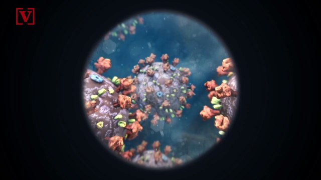 If Dr. Anthony Fauci Is Featured in an SNL Skit, He Wants Brad Pitt to Play Him