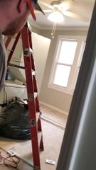 Deer in Decatur Darts out of House