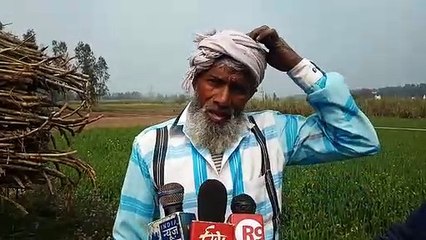 Bijnor में बारिश के साथ पड़े ओले, जानिए होली पर कैसा रहेगा मौसम