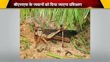 बिहार: कैमूर वन्यप्राणी आश्रयणी क्षेत्र बनेगा टाइगर रिजर्व