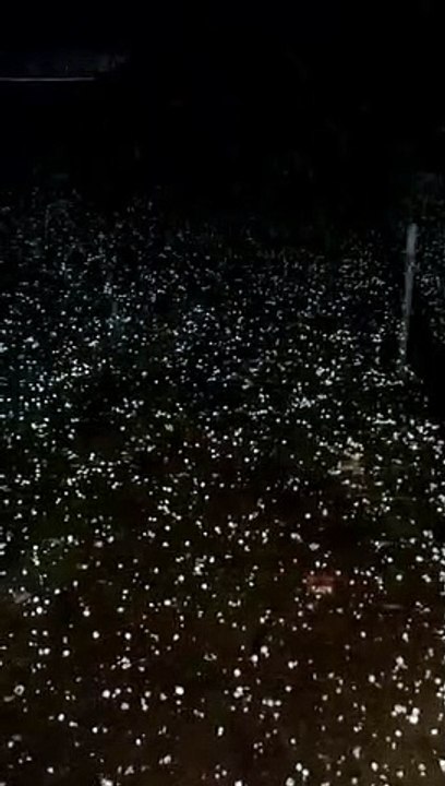 छ्त्तीसगढ़ में अचानक बदले मौसम से चारों तरफ उथल पुथल मची हुई है।