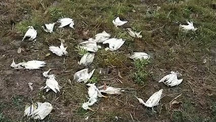 रविवार-सोमवार की रात में जोरदार बारिश हुई।