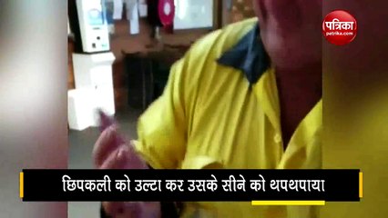 Man Uses CPR to Bring Lizard Back to Life