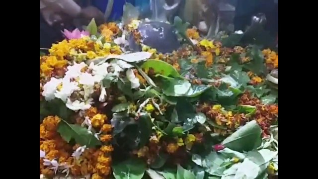 Devotee gather in Semradh Nath Mandir bhadohi on Mahashivratri
