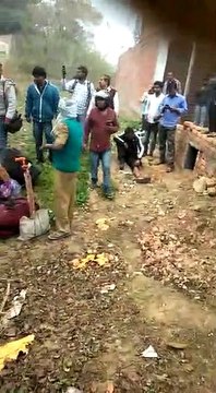 roadways bus accident