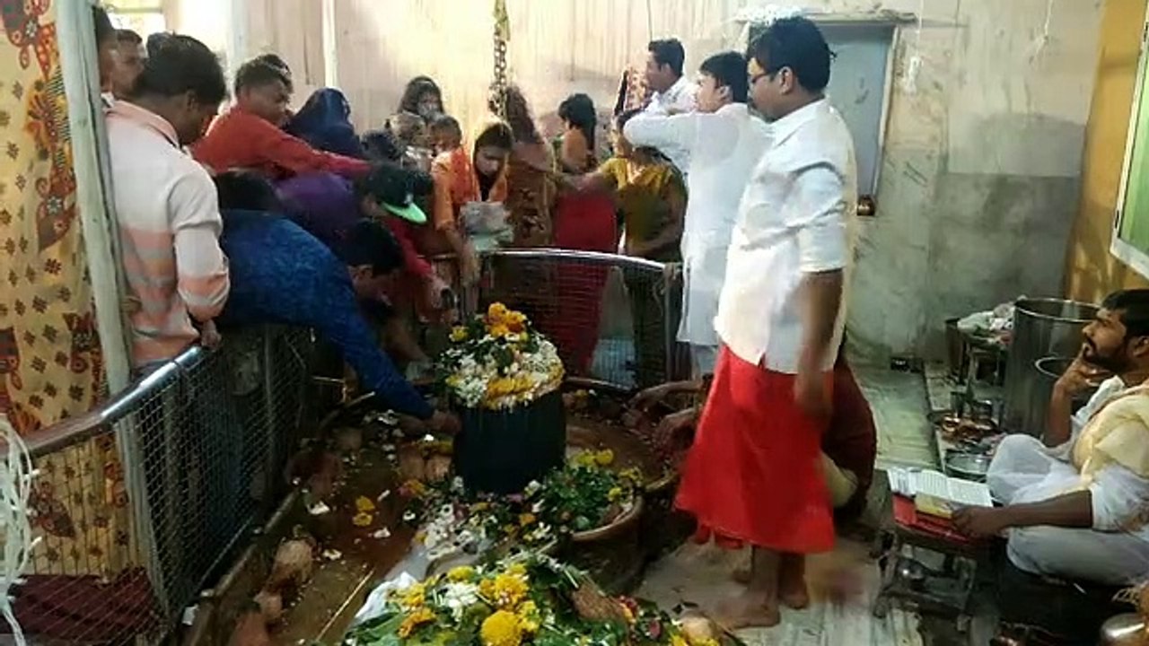 महाशिवरात्रि : भोले के दर्शन को उमड़ा सैलाब, जग...