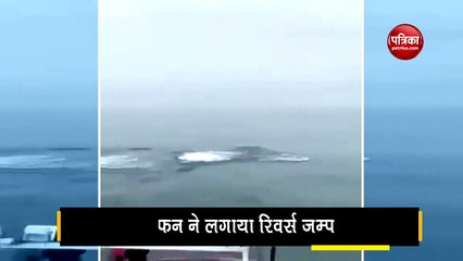 Dolphins show amazing tricks in the sea