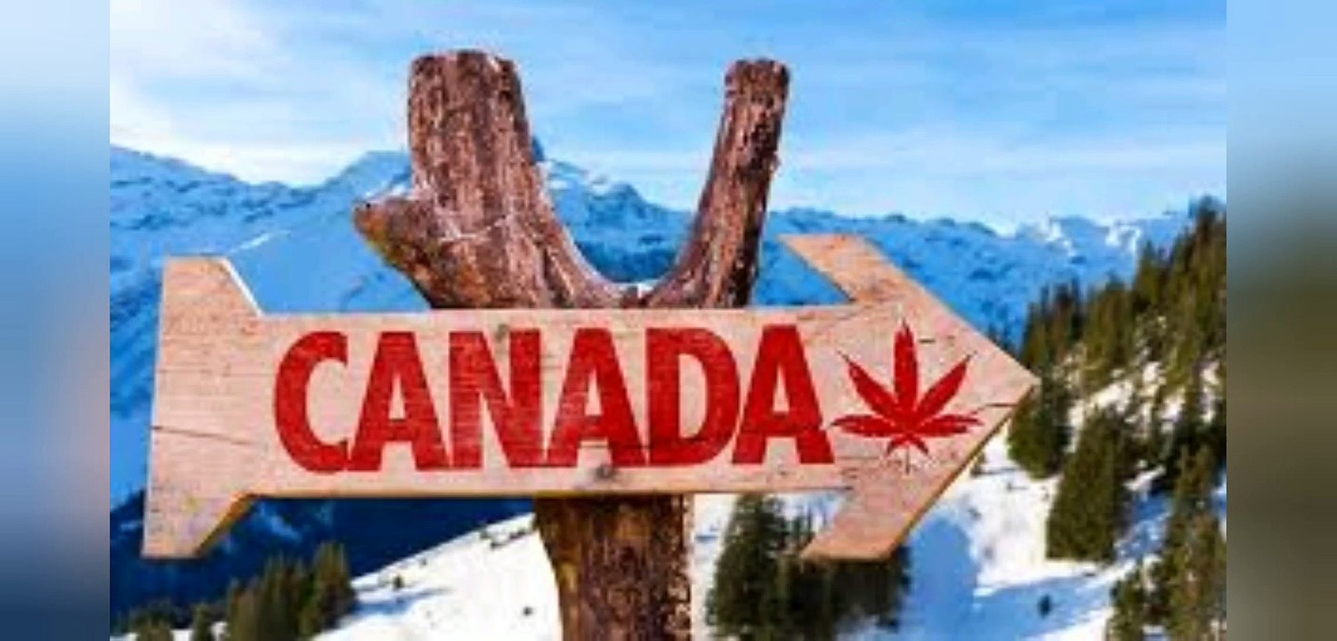 do it yourself canada processing