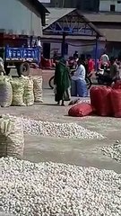 ratlam krashi mandi chori video