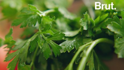 Why do some people hate cilantro?