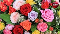Valentine Day Special : कुछ ऐसी थी कैबिनेट मंत्री मुख्तार अब्बास नकवी और उनकी पत्नी की प्रेम कहानी