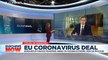 Fiscal support to non-Eurozone countries a possibility as bloc backs massive coronavirus rescue plan