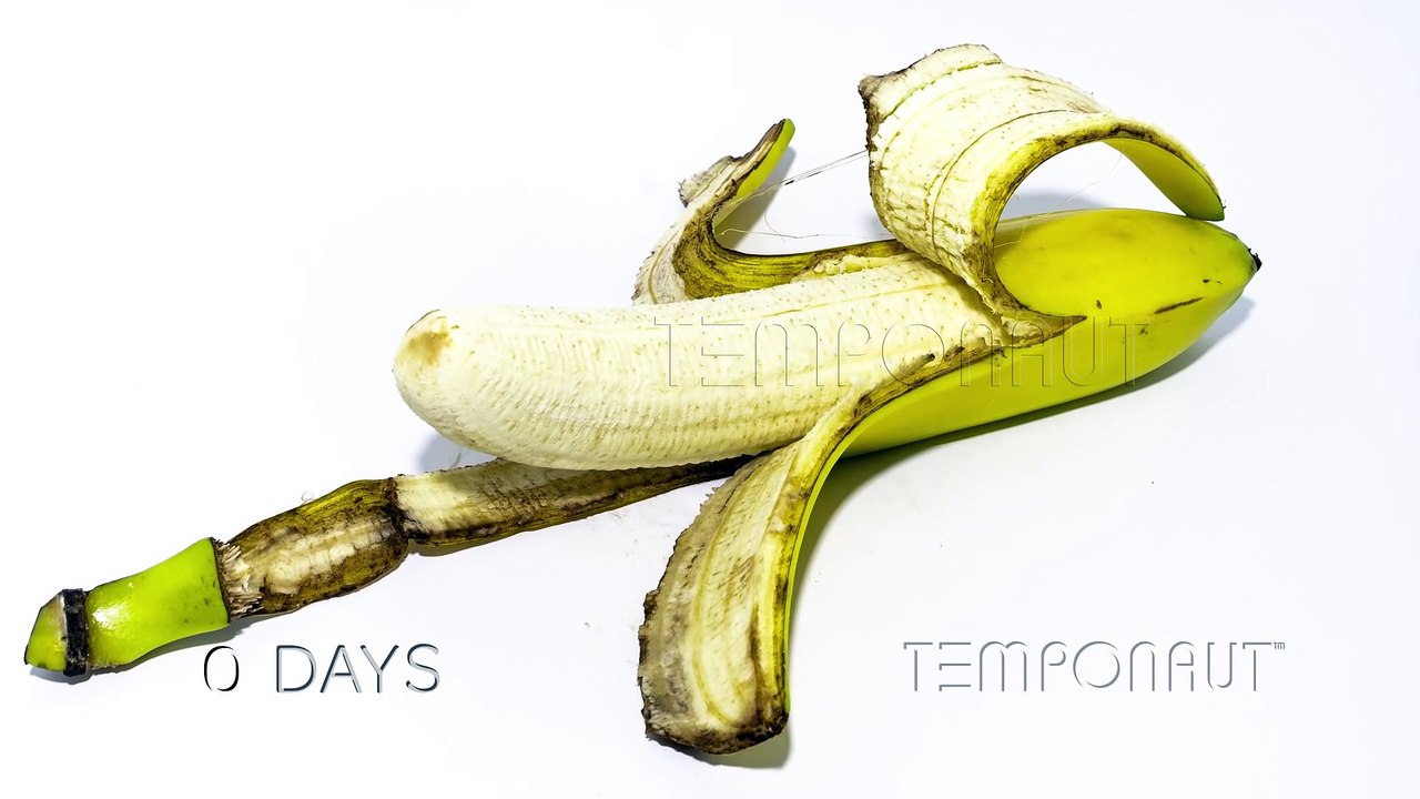 Banana Timelapse