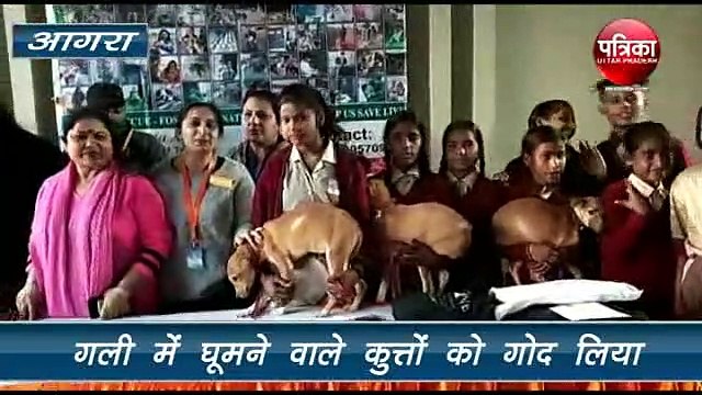 स्ट्रीट डॉग्स व अन्य जानवरों से हैं परेशान तो ये तरीका आजमाएं