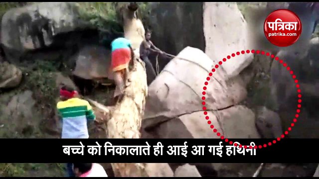 Elephant calf trapped between rock boulders rescued