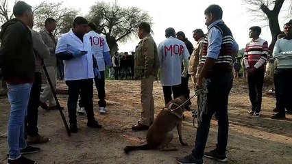 पत्थर से तोबड़तोड़ वार कर युवक की हत्या