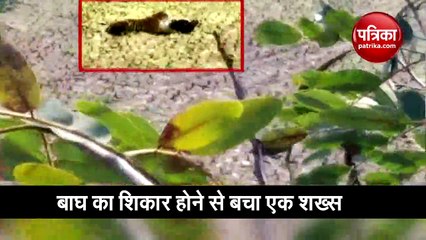 popular video on social media