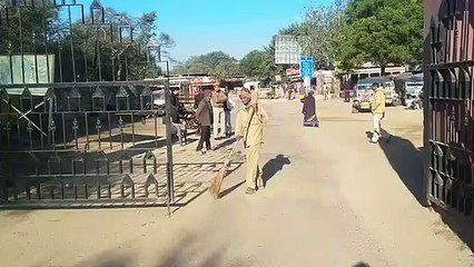 दस सालों से जंगल में कर रहे सफाई