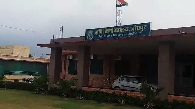 imported pulses आयातित दालों पर निर्भरता होगी खत्म, कृषि विवि पैदा करेगा उन्नत बीज