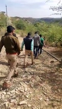 खेत में पैंथर मिलने की सूचना से ग्रामीणों में खौफ