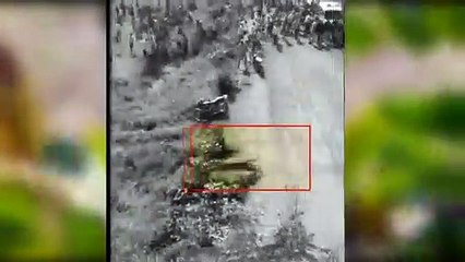 युवक को दबोचकर बैठा था बाघ