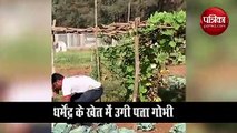 Dharmendra farming video goes VIRAL on social media