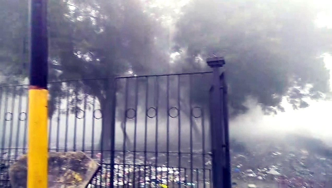 Fog in agra