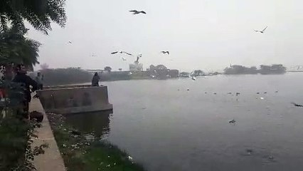 कह रहे परदेसी पावणे, हम आ गए हैं आप भी चले आइये...