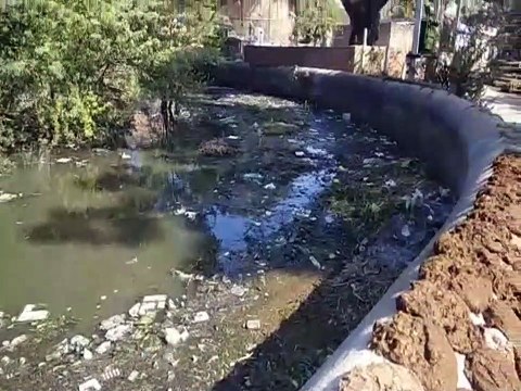 राहत की बजाय पीड़ा दे रहा ड्रेनेज सिस्टम,सड़ांध से परेशान आमजन