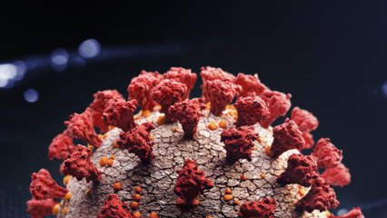 MIT Working To Track Coronavirus With Privacy