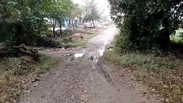 CM Kamal Nath's सीएम कमल नाथ के गृह जिले में किसानों की राह मुश्किल भरी