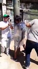 Bromas  de otro nivel - Esto solo pasa en Perú