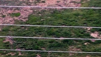 Children walking in the magnificent natural landscape .....
