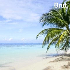 Half of all sandy beaches at risk