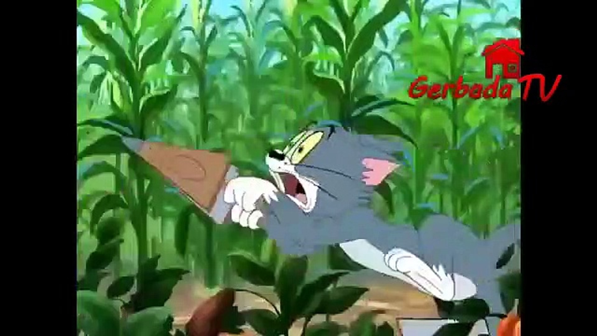 توم وجيري عربي أجمل حلقة كرتون اطفال توم وجيري الجديد 2020 حلقة كاملة من توم اند جيري Video Dailymotion