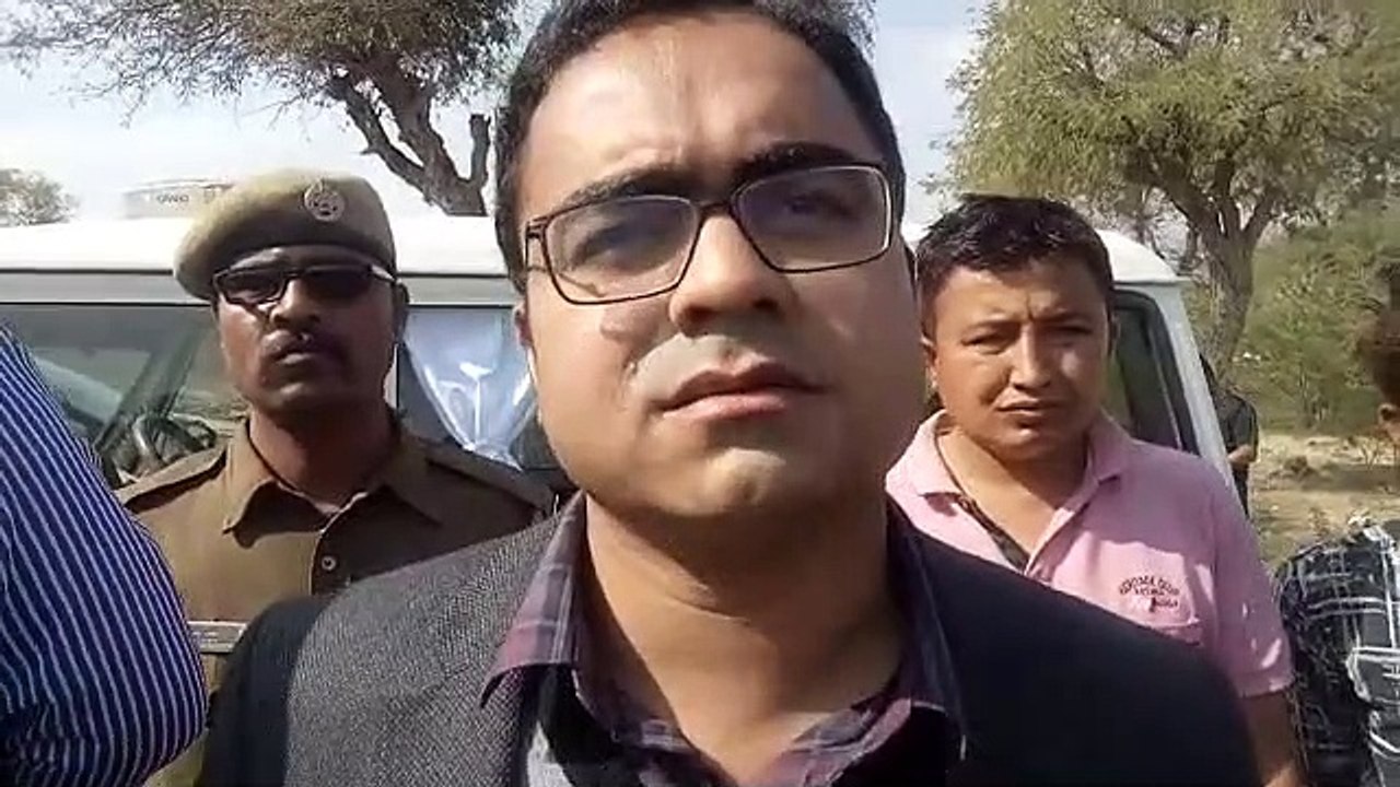 टिड्डी दल ने मचाई तबाही, फसलों को नुकसान