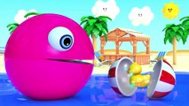 Learn Colors with PACMAN as eat Fish and Soccer Ball on the Sea and slides down a magic slide