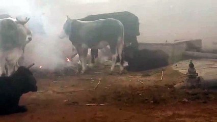 जानिए फिरोजाबाद में आगामी 10 दिन के मौसम का हाल