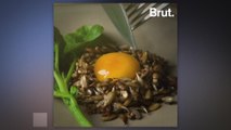 Sustainable recipe: Egg marinated in beer with sprouted sunflower seeds