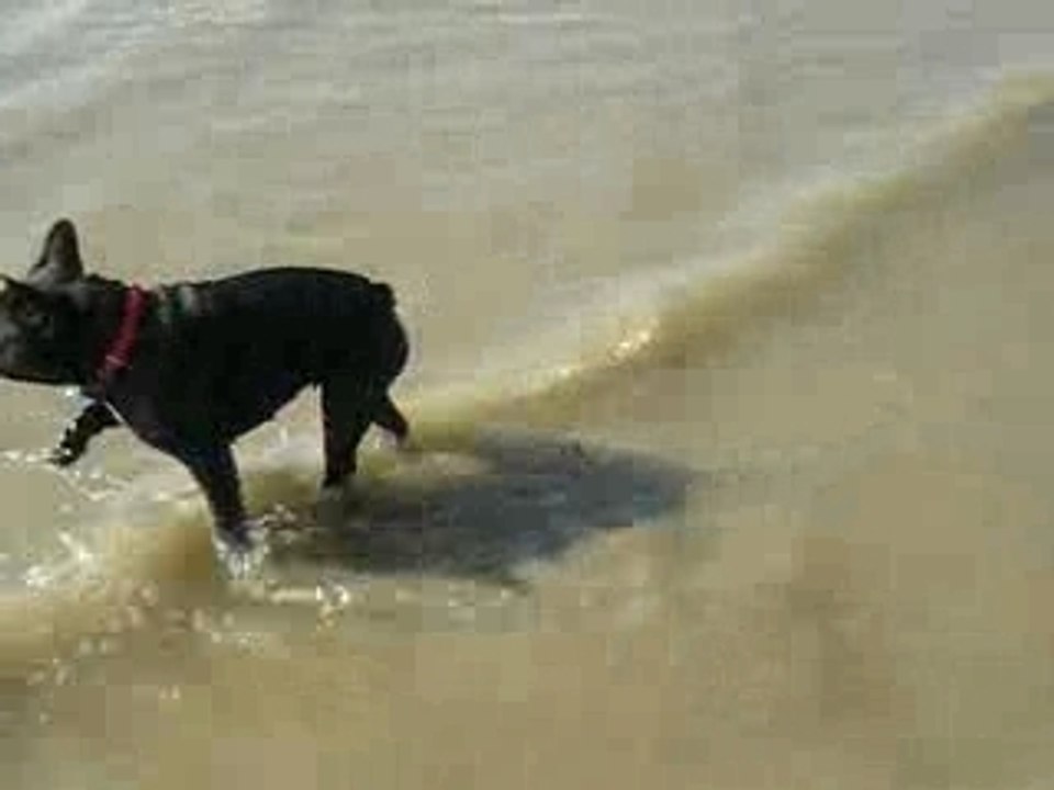 cookie a la plage (j adore)