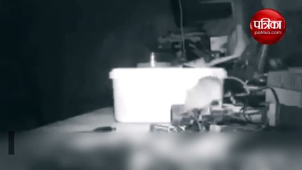 A old retired man found out that a little mouse was tidying his tools