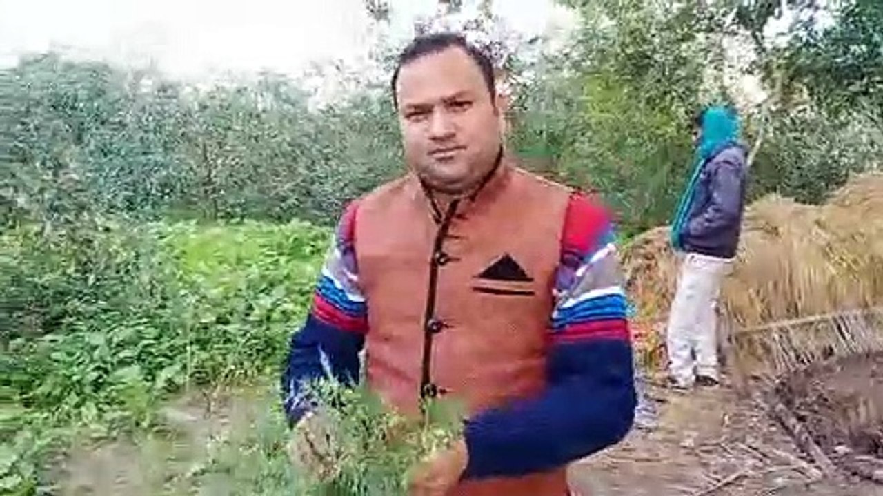 फिरोजाबाद में किसान ने की जैविक पद्धति से बेर की फसल