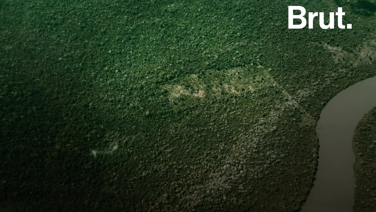Brazil's Amazon Deforestation Rate Spikes