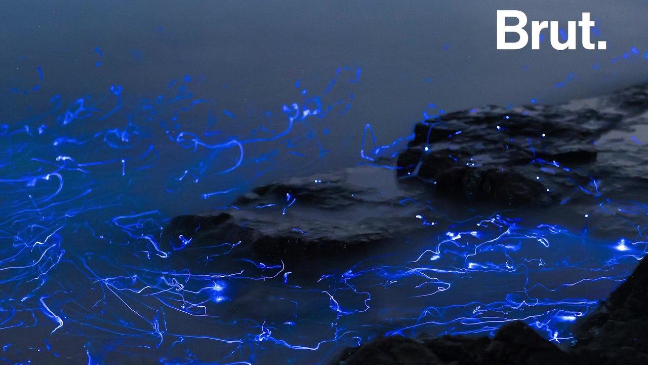 3 natural phenomena to see in Japan